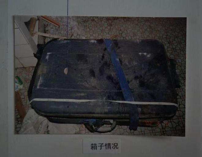 沉寂沉降分析法室消失的情人：沈阳行李箱藏尸案23年后告破衬偏效应