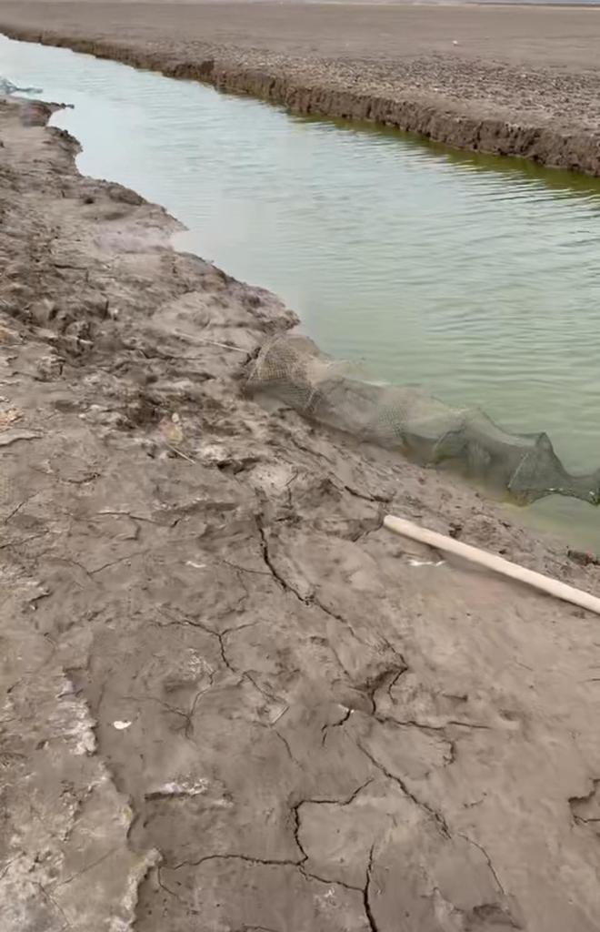 “每隔20米就一个”江苏盐城一自然保护区被曝水里有大量地笼？回应：放在边界外